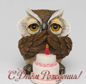 Скачать бесплатно Открытка с совой на день рождения на сайте WishesCards.ru