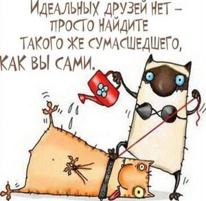 Скачать бесплатно Открытка с юмором для друзей на сайте WishesCards.ru
