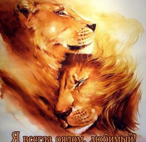 Скачать бесплатно Открытка со львами любимому на сайте WishesCards.ru
