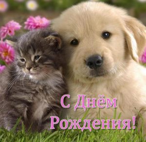 Скачать бесплатно Открытка со щенком с днем рождения на сайте WishesCards.ru