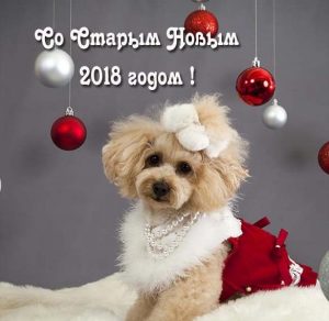 Скачать бесплатно Открытка со Старым Новым Годом собаки на сайте WishesCards.ru