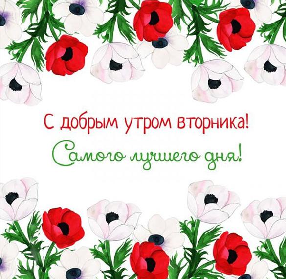 Скачать бесплатно Открытка со вторником и с добрым утром на сайте WishesCards.ru