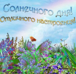 Скачать бесплатно Открытка солнечного дня и отличного настроения на сайте WishesCards.ru