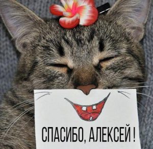 Скачать бесплатно Открытка спасибо Алексей на сайте WishesCards.ru