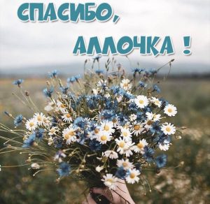 Скачать бесплатно Открытка спасибо Аллочка на сайте WishesCards.ru