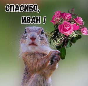 Скачать бесплатно Открытка спасибо Иван на сайте WishesCards.ru