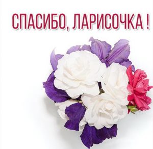 Скачать бесплатно Открытка спасибо Ларисочка на сайте WishesCards.ru