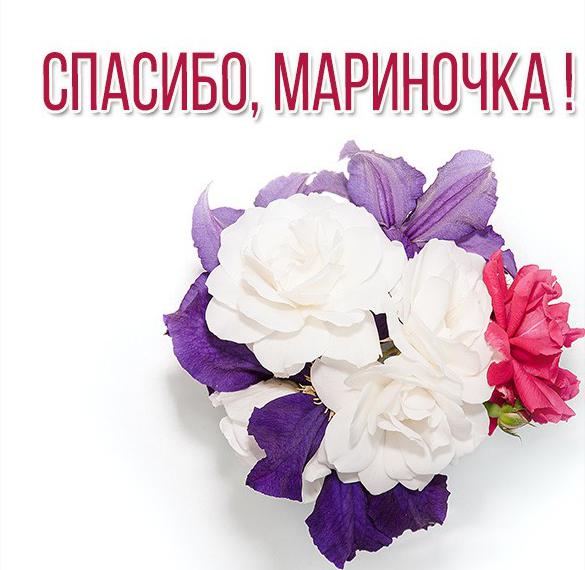 Скачать бесплатно Открытка спасибо Мариночка на сайте WishesCards.ru