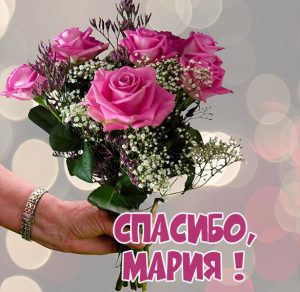 Скачать бесплатно Открытка спасибо Мария на сайте WishesCards.ru