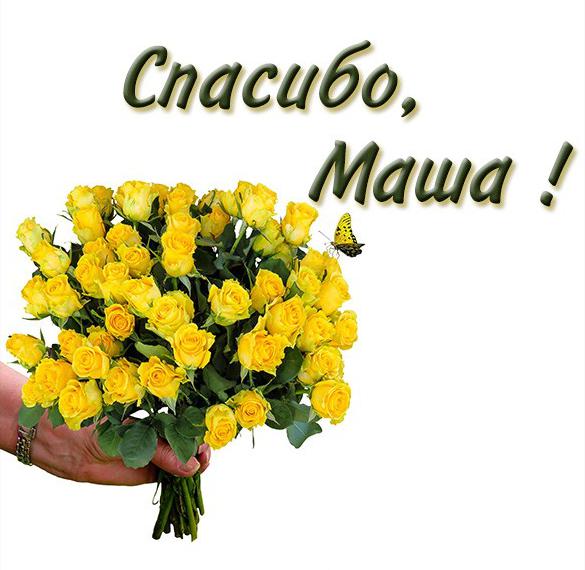 Скачать бесплатно Открытка спасибо Маша на сайте WishesCards.ru