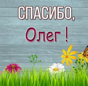 Скачать бесплатно Открытка спасибо Олег на сайте WishesCards.ru