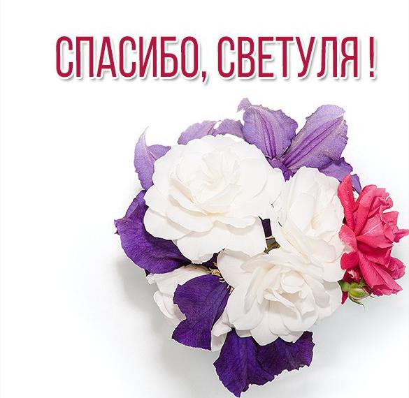 Скачать бесплатно Открытка спасибо Светуля на сайте WishesCards.ru