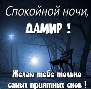 Скачать бесплатно Открытка спокойной ночи Дамир на сайте WishesCards.ru