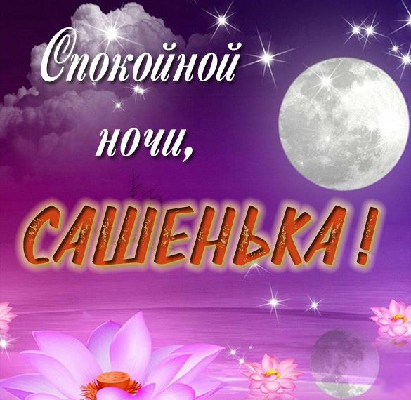 Скачать бесплатно Открытка спокойной ночи Сашенька на сайте WishesCards.ru