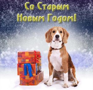 Скачать бесплатно Открытка Старый Новый год собаки на сайте WishesCards.ru