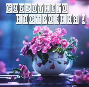 Скачать бесплатно Открытка субботнего настроения на сайте WishesCards.ru