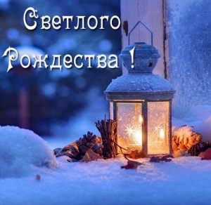 Скачать бесплатно Открытка Светлого Рождества на сайте WishesCards.ru