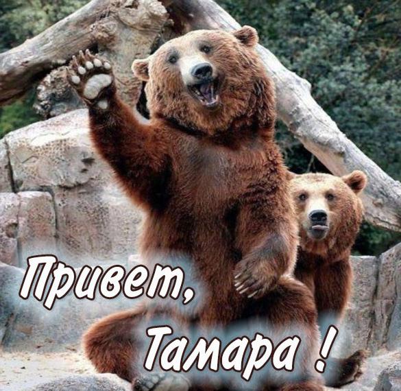 Скачать бесплатно Открытка Тамара привет на сайте WishesCards.ru