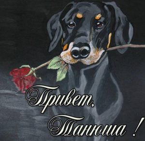 Скачать бесплатно Открытка Танюша привет на сайте WishesCards.ru