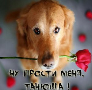 Скачать бесплатно Открытка Танюша прости меня на сайте WishesCards.ru