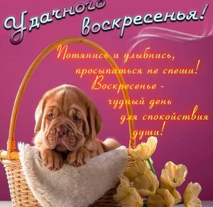 Скачать бесплатно Открытка удачного воскресенья на сайте WishesCards.ru