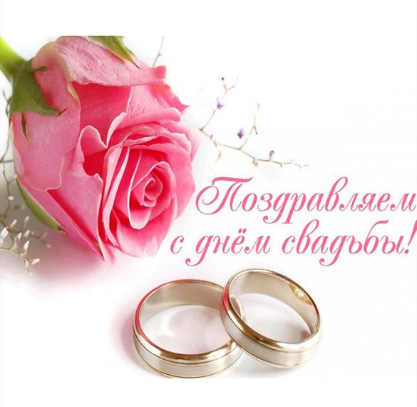 Скачать бесплатно Открытка в день свадьбы на сайте WishesCards.ru