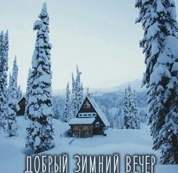 Скачать бесплатно Открытка в картинке добрый зимний вечер на сайте WishesCards.ru