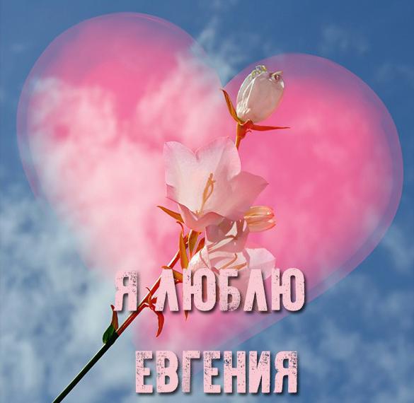 Скачать бесплатно Открытка я люблю Евгения на сайте WishesCards.ru
