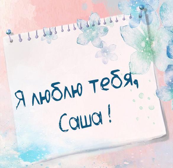 Скачать бесплатно Открытка я люблю тебя Саша на сайте WishesCards.ru