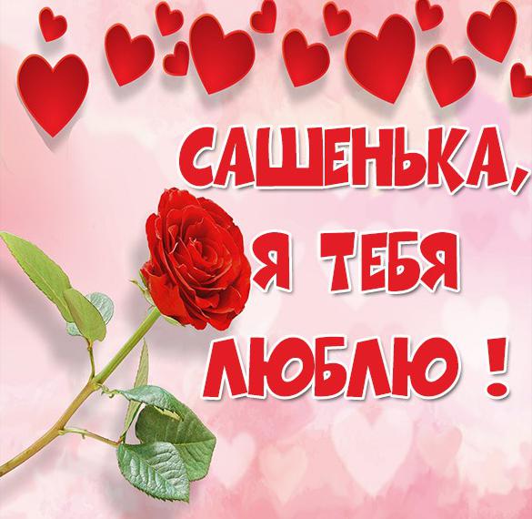 Скачать бесплатно Открытка я люблю тебя Сашенька на сайте WishesCards.ru