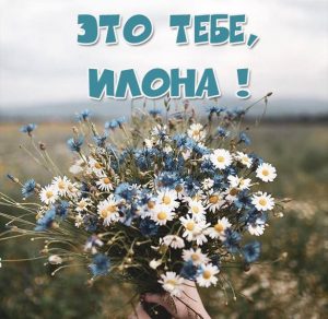 Скачать бесплатно Отличная картинка с именем Илона на сайте WishesCards.ru