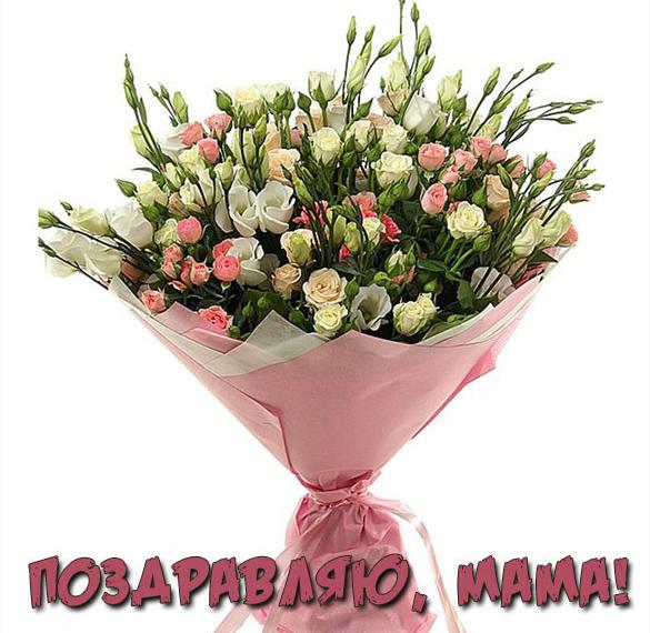 Скачать бесплатно Поздравительная электронная открытка для мамы на сайте WishesCards.ru