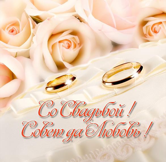 Скачать бесплатно Поздравительная электронная открытка со свадьбой на сайте WishesCards.ru