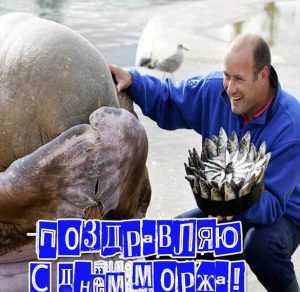 Скачать бесплатно Поздравительная картинка на день моржа на сайте WishesCards.ru