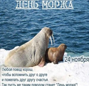Скачать бесплатно Поздравительная картинка с днем моржа на сайте WishesCards.ru