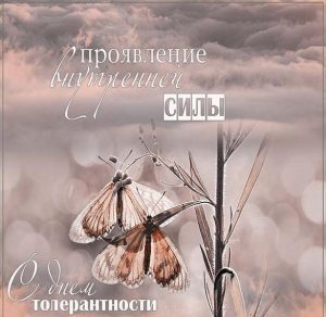 Скачать бесплатно Поздравительная картинка с днем терпимости на сайте WishesCards.ru
