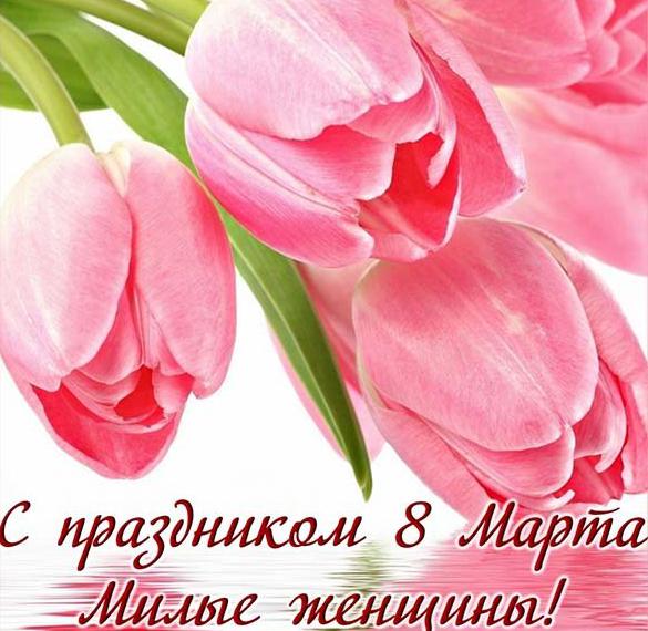 Скачать бесплатно Поздравительная открытка к 8 марта коллегам женщинам на сайте WishesCards.ru