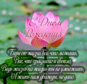 Скачать бесплатно Поздравительная открытка к дню рождения женщине на сайте WishesCards.ru