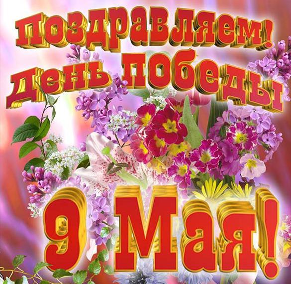 Скачать бесплатно Поздравительная открытка на 9 мая на сайте WishesCards.ru