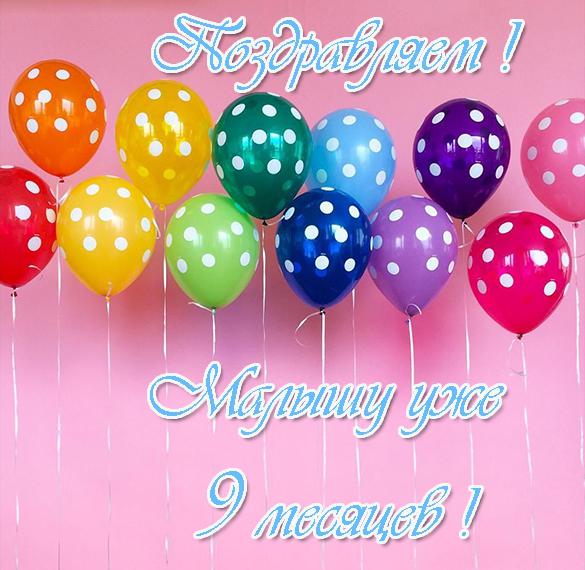 Скачать бесплатно Поздравительная открытка с 9 месяцами мальчика на сайте WishesCards.ru