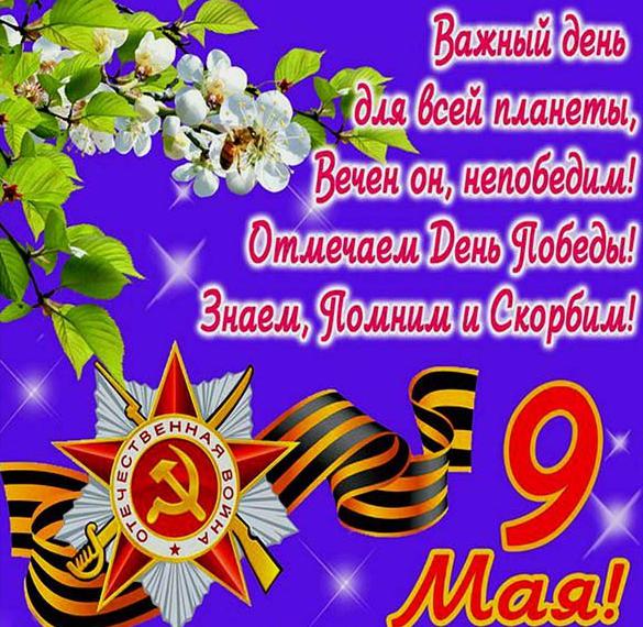 Скачать бесплатно Поздравительная открытка с Днем Победы 9 мая на сайте WishesCards.ru
