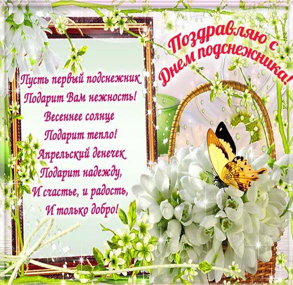 Скачать бесплатно Поздравительная открытка с днем подснежника на сайте WishesCards.ru