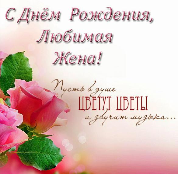 Скачать бесплатно Поздравительная открытка с днем рождения любимой жене на сайте WishesCards.ru
