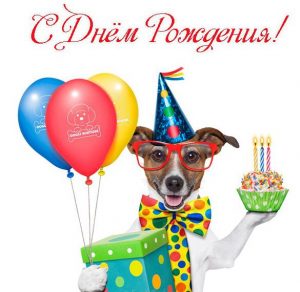 Скачать бесплатно Поздравительная открытка с днем рождения с собаками на сайте WishesCards.ru
