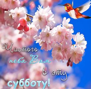 Скачать бесплатно Поздравительная открытка с субботой на сайте WishesCards.ru