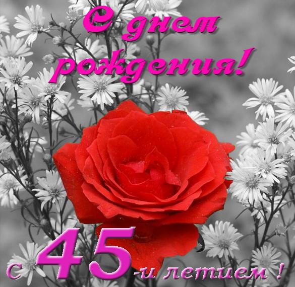 Скачать бесплатно Поздравительная открытка женщине с 45 летием на сайте WishesCards.ru