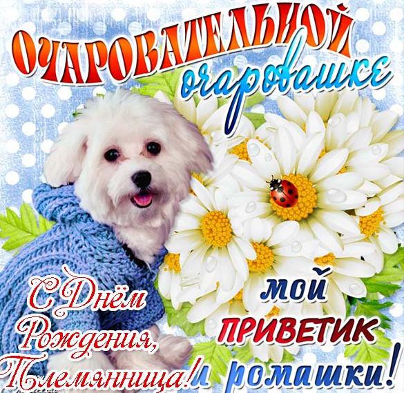 Скачать бесплатно Поздравление с днем рождения племяннице в красивой открытке на сайте WishesCards.ru