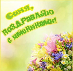 Скачать бесплатно Поздравление с днем Сани в картинке на сайте WishesCards.ru