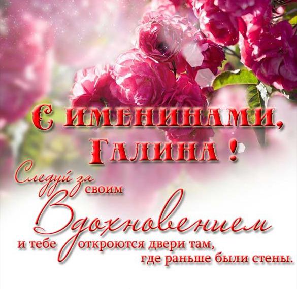 Скачать бесплатно Поздравление с именинами Галины в картинке на сайте WishesCards.ru