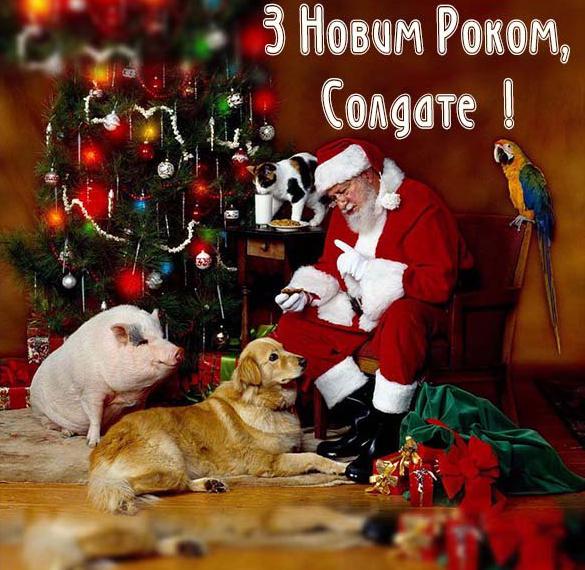 Скачать бесплатно Поздравление с Новым Годом солдат в украинской открытке на сайте WishesCards.ru